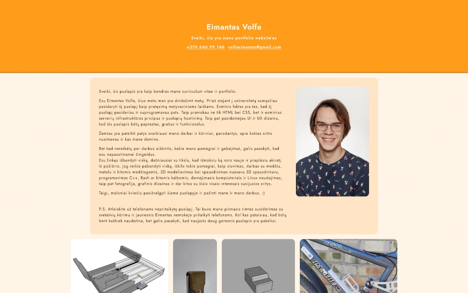 Pirmosios tinklalapio versijos peržiūra.